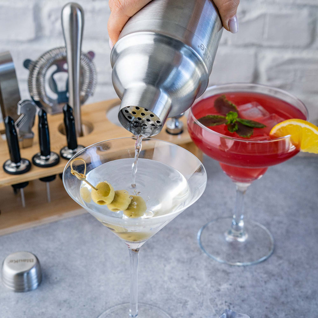 17 oz Stainless Steel Cocktail Shaker Set - Mixed Drink Shaker - Martini  Shaker